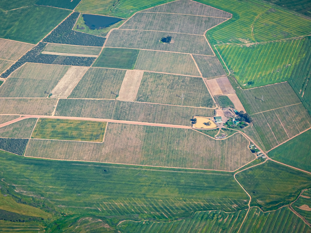 Trusts of Land and Appointment of Trustees Act 1996